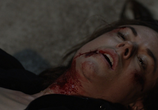 Фильм Я плюю на ваши могилы 3 / I Spit on Your Grave 3 (2015) - cцена 2