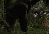 Фильм Могучий Джо Янг / Mighty Joe Young (1998) - cцена 9