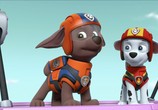 Мультфильм Щенячий патруль: Суперпатруль 2 / Paw Patrol: Ultimate Rescue 2 (2019) - cцена 6