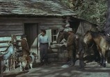 Фильм Лэсси в разрисованных холмах / Lassie The Painted Hills (1951) - cцена 4