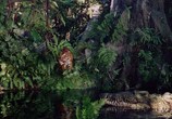 Фильм Книга джунглей / Jungle Book (1942) - cцена 1