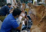 ТВ BBC. Аттенборо и гигантский динозавр / Attenborough and the Giant Dinosaur (2016) - cцена 5