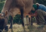 Фильм Z – значит Захария / Z for Zachariah (2015) - cцена 3