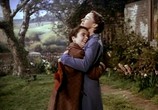 Сцена из фильма Национальный бархат / National Velvet (1944) Национальный бархат сцена 15