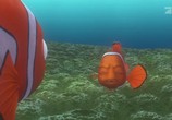 Мультфильм В поисках Немо / Finding Nemo (2003) - cцена 6