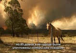ТВ Австралия в огне / Australia Burning (2020) - cцена 6
