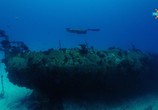 Сцена из фильма Фридайвинг на Большом Барьерном рифе / Ultimate Freedive: The Great Barrier Reef (2016) Фридайвинг на Большом Барьерном рифе сцена 15