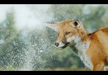 ТВ Крошечные существа / Tiny Creatures (2020) - cцена 2