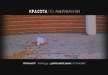 Фильм Красота по-американски / American Beauty (2000) - cцена 1