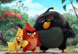 Мультфильм Angry Birds в кино / The Angry Birds Movie (2016) - cцена 2