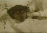 Фильм Комплекс невменяемости (1992) - cцена 1