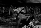 Фильм Хозяин царства гор / King of the Royal Mounted (1940) - cцена 8