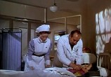Сцена из фильма Национальный бархат / National Velvet (1944) Национальный бархат сцена 13