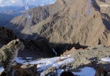 ТВ BBC: Планета Земля 2 / Planet Earth II (2016) - cцена 1