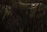 Фильм Маугли / Mowgli (2018) - cцена 7