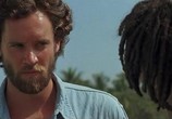Фильм Челюсти 4: Месть / Jaws 4: The Revenge (1987) - cцена 4