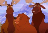 Мультфильм Братец медвежонок. Дилогия / Brother Bear. Dilogy (2003) - cцена 2