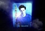 ТВ Дополнительные материалы - Сумерки / Extras: Twilight (2008) - cцена 3