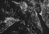 Фильм Расемон / Rashômon (1950) - cцена 3