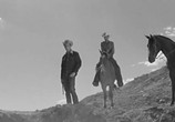 Фильм Хад / Hud (1963) - cцена 3