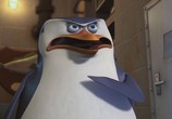 Мультфильм Пингвины Мадагаскара: Операция ДВД / The Penguins of Madagascar - Operation: Get Ducky (2010) - cцена 1