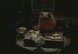 Сцена из фильма Баба Яга / Baba Yaga (1973) Баба Яга сцена 40