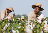Фильм 12 лет рабства / 12 Years a Slave (2013) - cцена 9