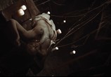 Сцена из фильма Вишневое дерево / Cherry Tree (2015) Вишневое дерево сцена 19