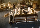 Фильм Отель для собак / Hotel for Dogs (2009) - cцена 6