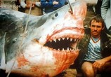 ТВ Discovery Channel: Animal Planet: Речные монстры / River monsters (2009) - cцена 3