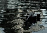 Фильм Розовое или колокольчик (2020) - cцена 4
