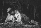 Фильм Волшебное зерно (1941) - cцена 3
