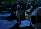 Мультфильм Барашек Шон - Настоящее безумие / Shaun the Sheep - Shear Madness (2012) - cцена 2