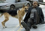 ТВ Я – Легенда: Дополнительные материалы / I Am Legend: Bonuces (2007) - cцена 2