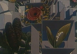 Мультфильм 3 новеллы (1986) - cцена 3