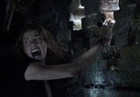 Фильм Капкан / Crawl (2019) - cцена 3