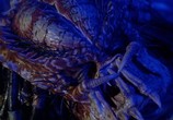 Фильм Хищник 2 / Predator 2 (1990) - cцена 2