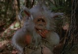 Фильм Эвоки: Битва за Эндор / Ewoks: The Battle for Endor (1985) - cцена 1