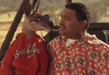 Фильм Кенгуру Джекпот / Kangaroo Jack (2003) - cцена 3