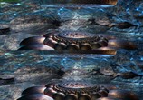 Сцена из фильма Лунный свет: Путешествие / Lichtmond: The Journey (2016) Лунный свет: Путешествие сцена 12
