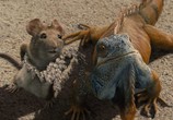 Фильм Крошка из Беверли-Хиллз / Beverly Hills Chihuahua (2009) - cцена 5