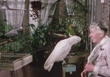 Фильм Убийцы леди / The Ladykillers (1955) - cцена 1